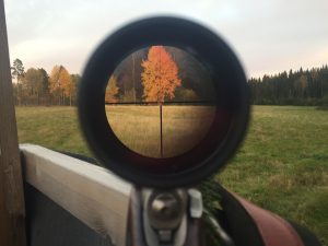 ansitzleiter sicher aufbau jagd jäger ansitz